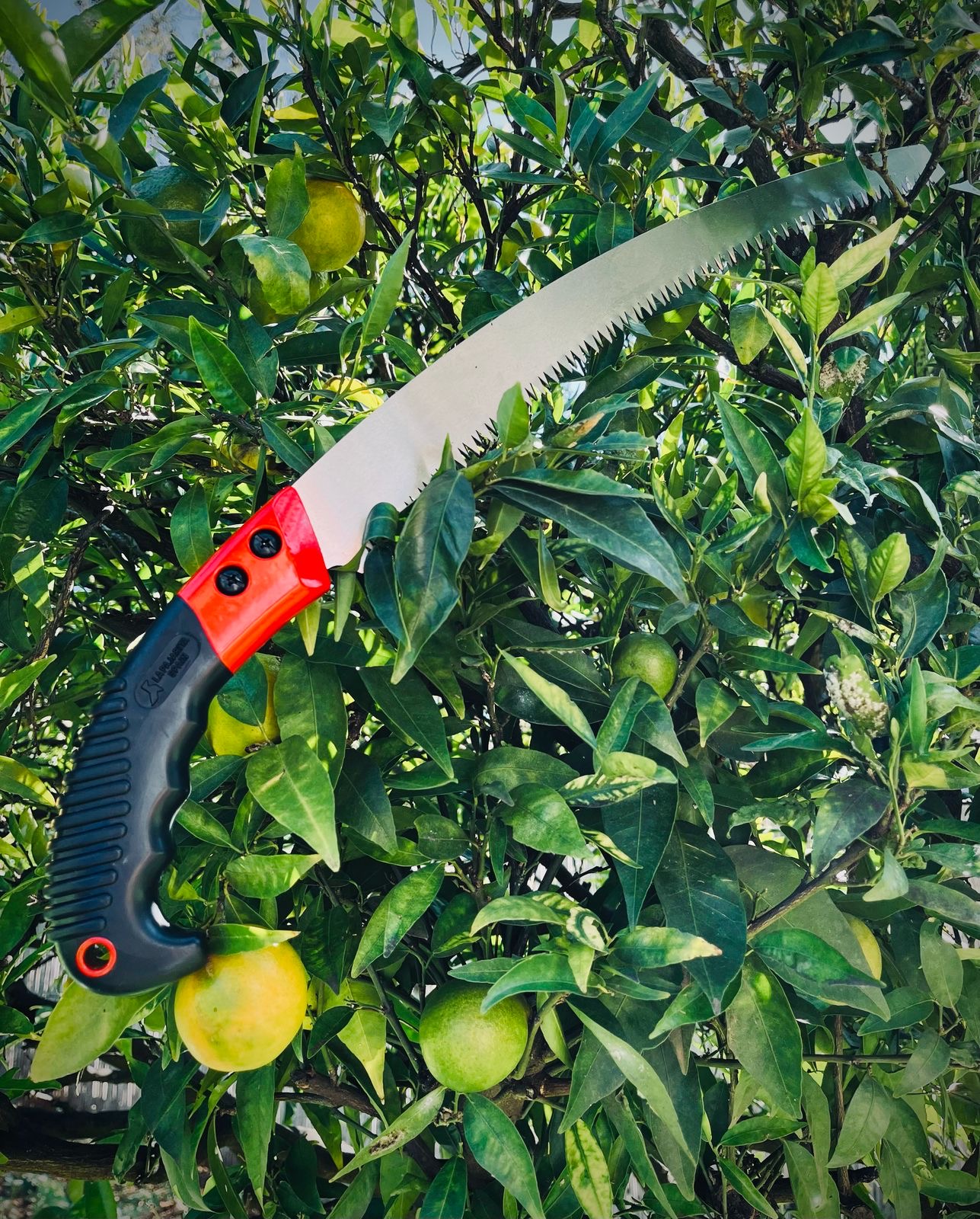 Curved Pruning Saw