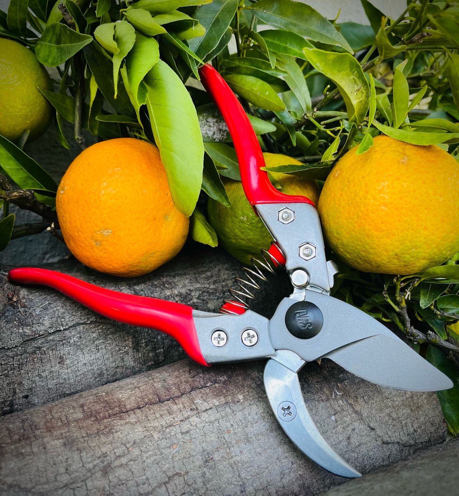 Premium Pruning Shears