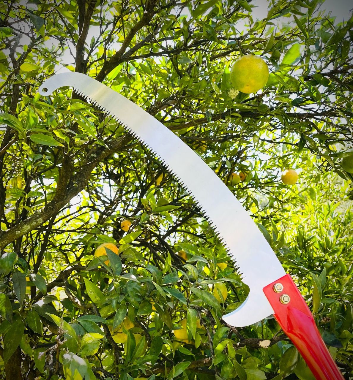 Telescopic Pruning Saw